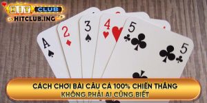 Cách chơi bài câu cá 100% chiến thắng không phải ai cũng biết